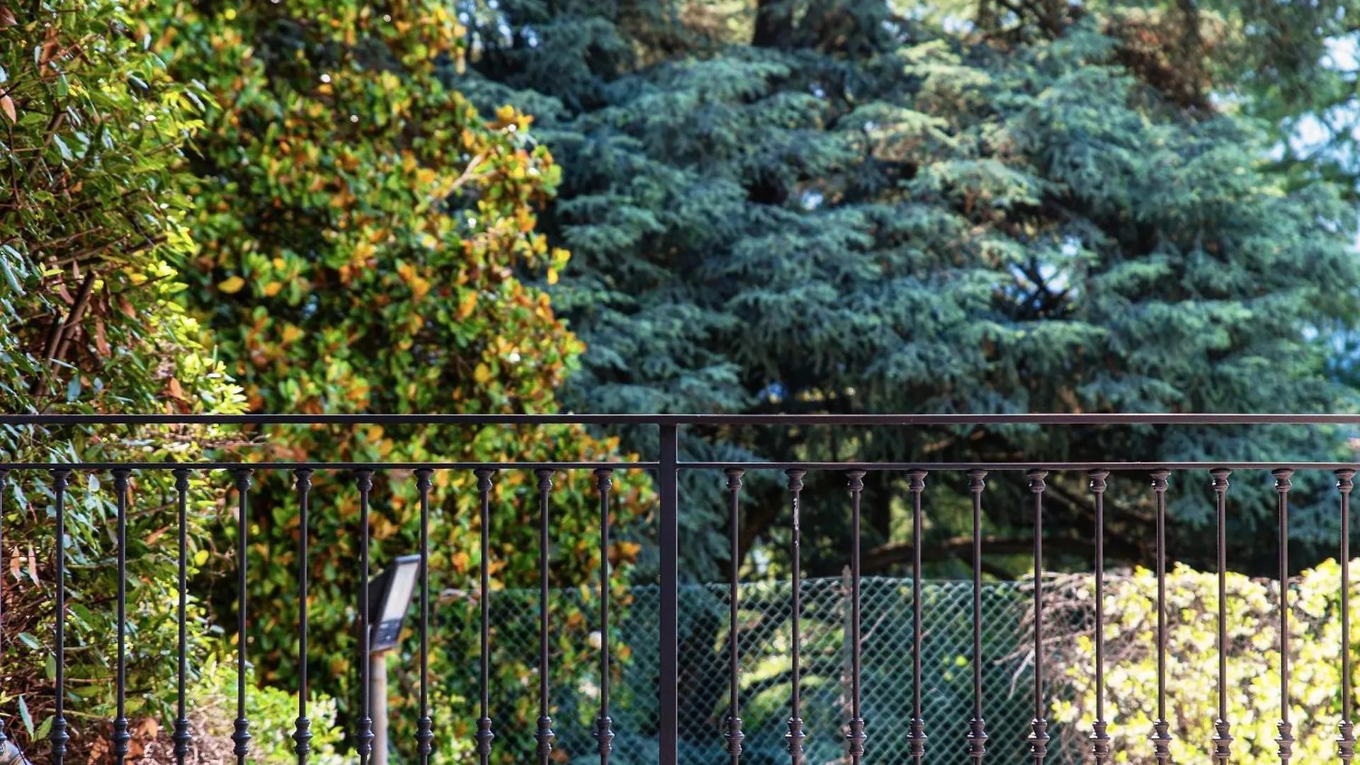 ***  Hotel Ristorante La Vignetta Черноббио Италия